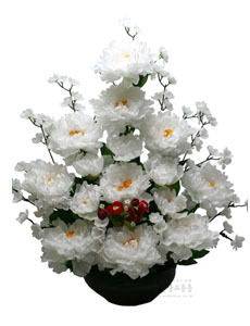 수반형 고급 목단꽃 (흰색)