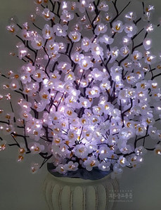 광섬유꽃-매화꽃 (흰색)