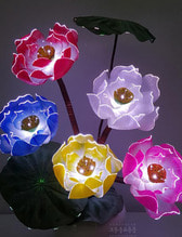 광섬유꽃-5송이 연꽃 (칼라)