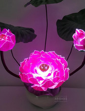 광섬유꽃-한송이 봉우리 연꽃 (분홍)
